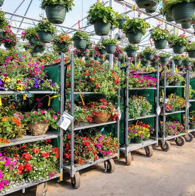 Wheeled carts filled and staged for loading!